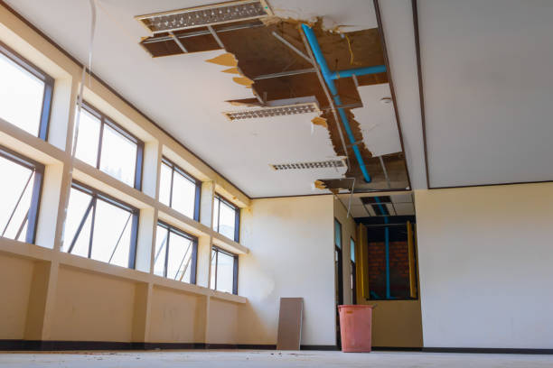 Best Flooded house restoration  in Winfield, IA
