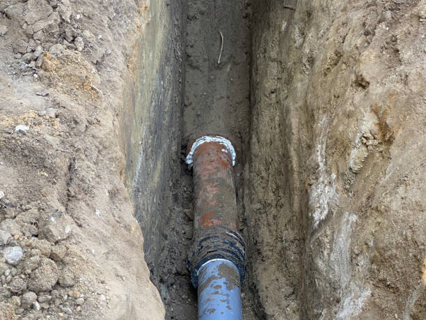 Best Flood damage cleanup  in Winfield, IA