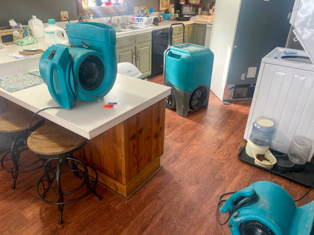Best Water damage restoration near me  in Winfield, IA