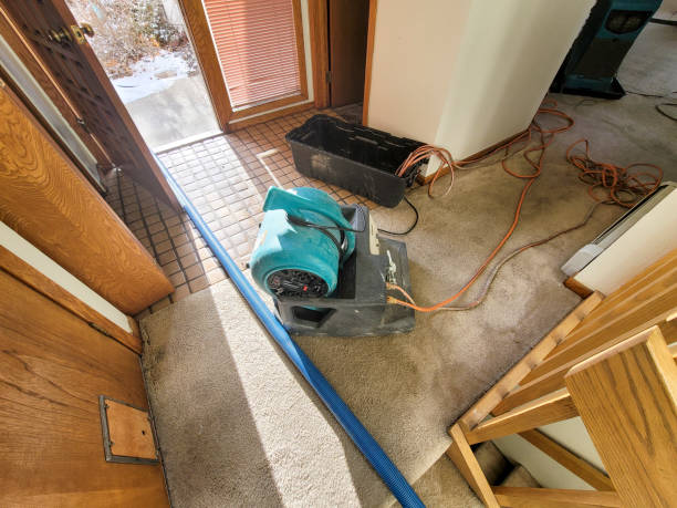 Best Residential water damage restoration  in Winfield, IA