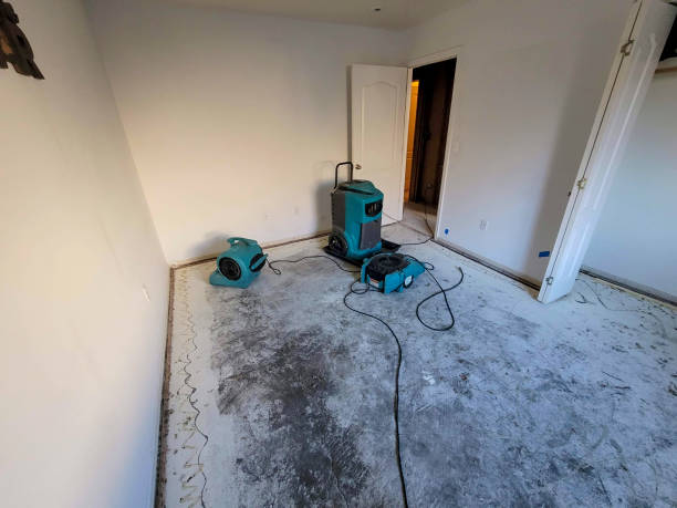 Best Sewage cleanup and water damage restoration  in Winfield, IA