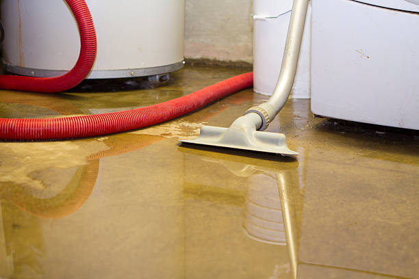 Best Mold removal after water damage  in Winfield, IA