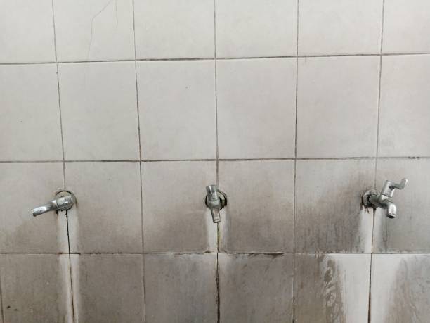 Best Local water damage restoration  in Winfield, IA