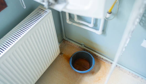 Best Flood restoration services  in Winfield, IA