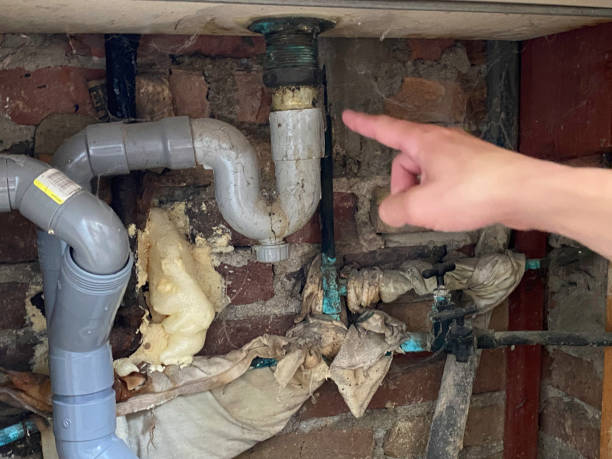 Best Water damage restoration near me  in Winfield, IA