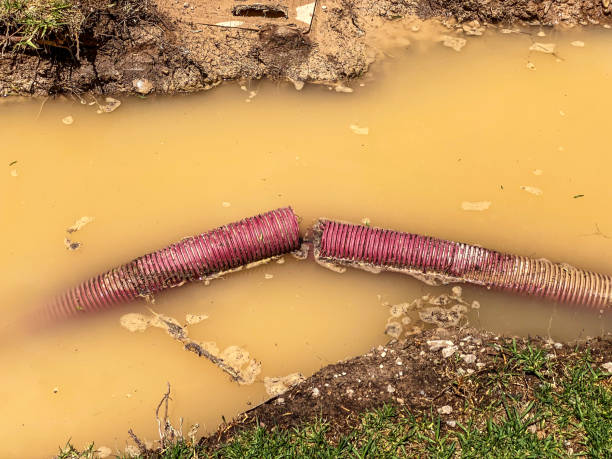 Best Fire Damage Restoration  in Winfield, IA